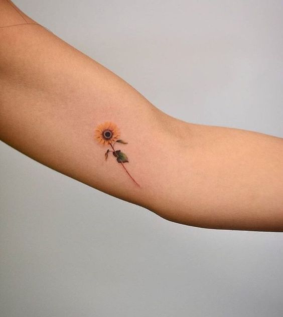 Petit Tatouage Bras (2)