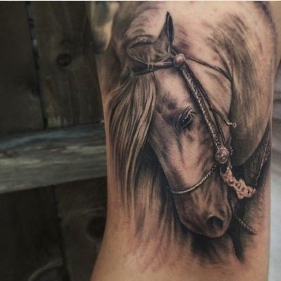 Tatouage Cheval (5)