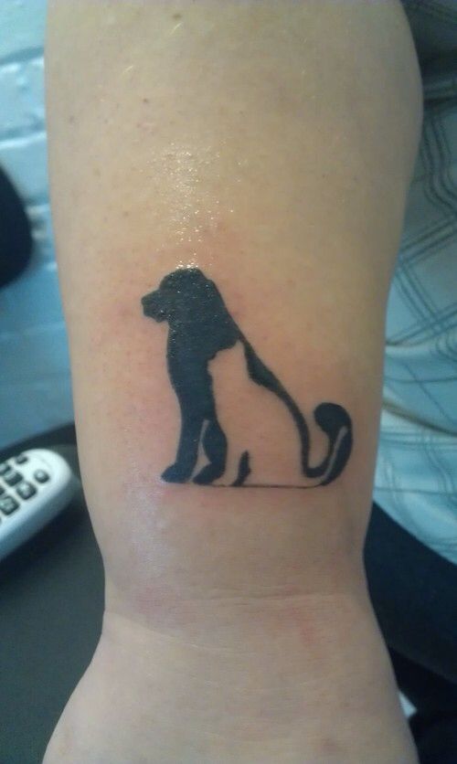 Tatouage Chien Et Chat (2)