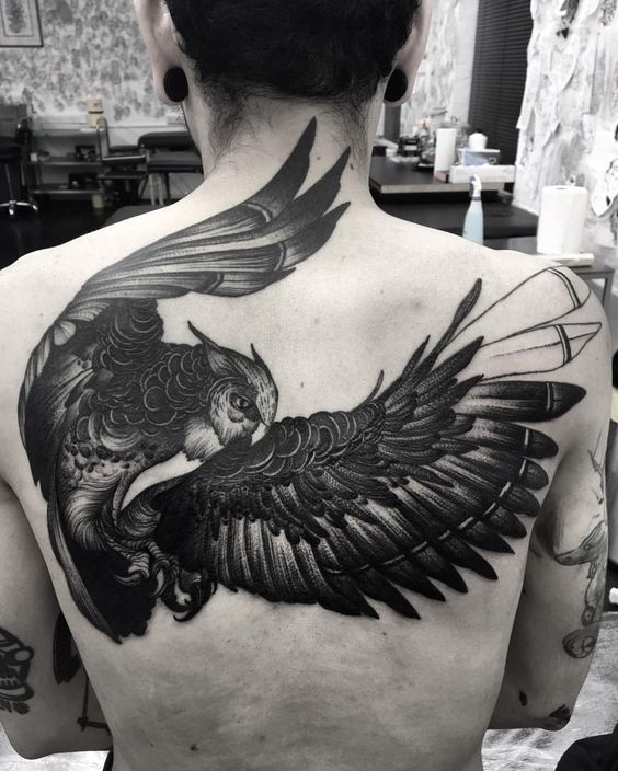 Tatouage Chouette Homme (1)