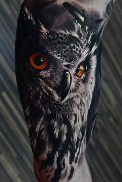 Tatouage Chouette Homme (13)