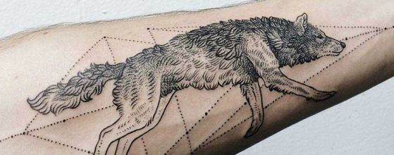 Tatouage Loup Avant Bras (1)