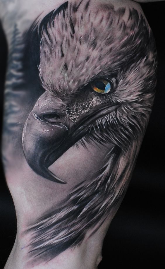 Tatouages Oiseaux Homme (2)