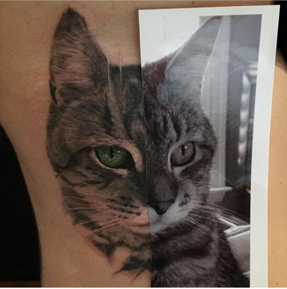 gato retrato tattoo