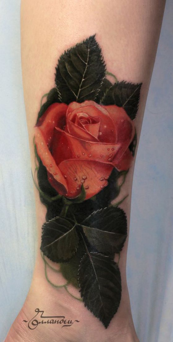 rosa tattoo 3d