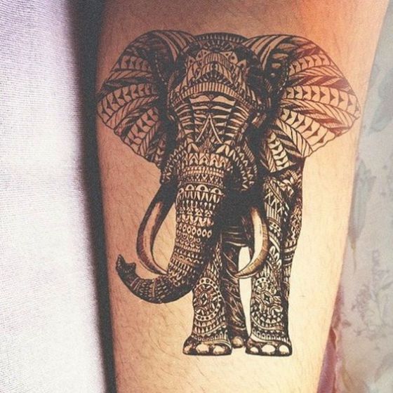 tatuaje elefante diseño tribal