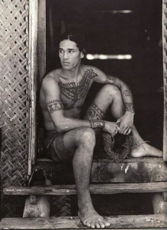 maori nativo