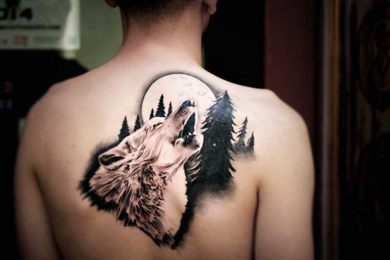 tatuaje de lobo espalda hombre