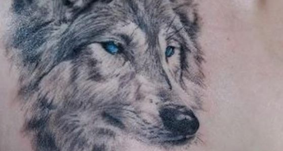 tatuaje de lobo ojo azul