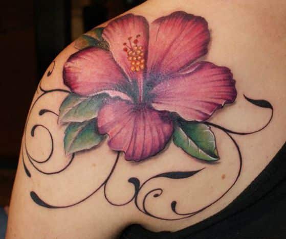 hibiscus