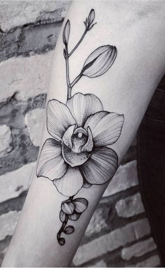 tatuaje de orquidea