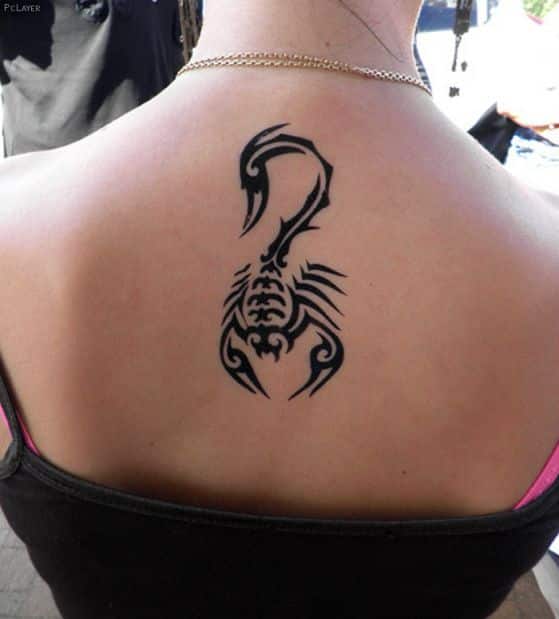 tribal estilo de tatuajes de escorpiones