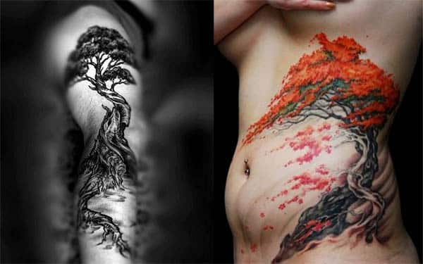 tatuajes de bonsai