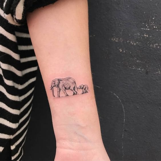 Tatuajes De Elefantes Familia