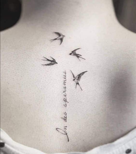 Frases En Latin Para Tatuajes (1)