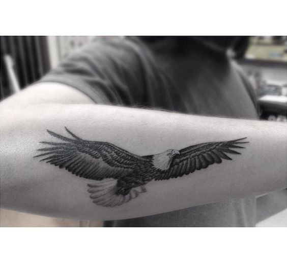 Aguila Pequeñas Tatuadas (2)