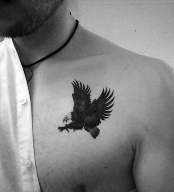 Aguila Pequeñas Tatuadas (5)
