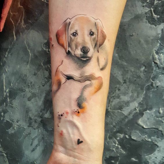 Perros Tatuados (1)