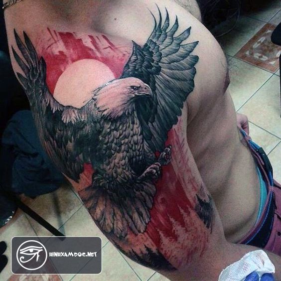 Tatuaje De Aguila (8)