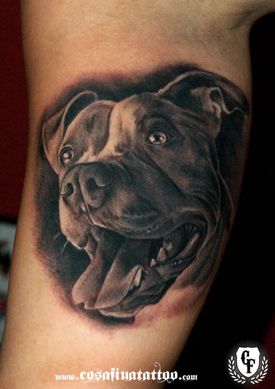 Tatuajes de Perros, diseños de patitas, pitbull, labradores, salchicas y más