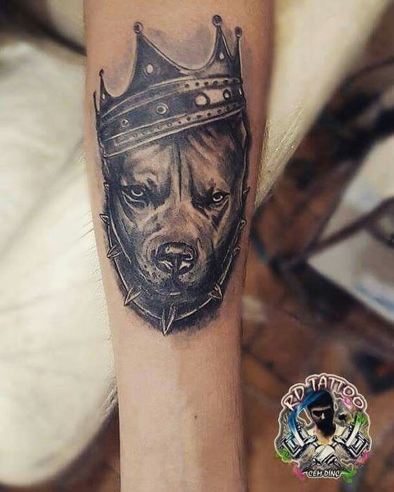 Tatuajes De Pitbulls (4)