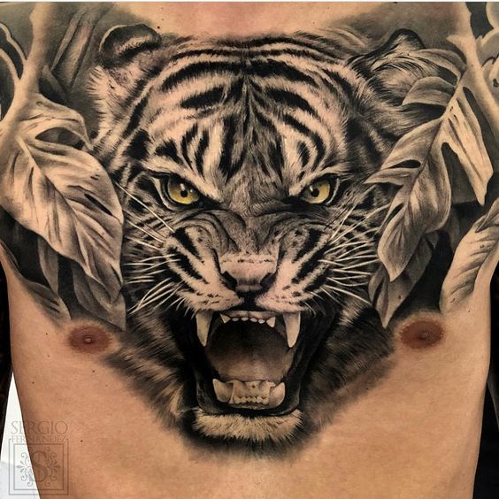 Tatuaje De Tigre En El Pecho Completo