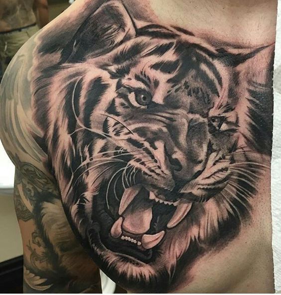 Tatuaje De Tigre En El Pecho