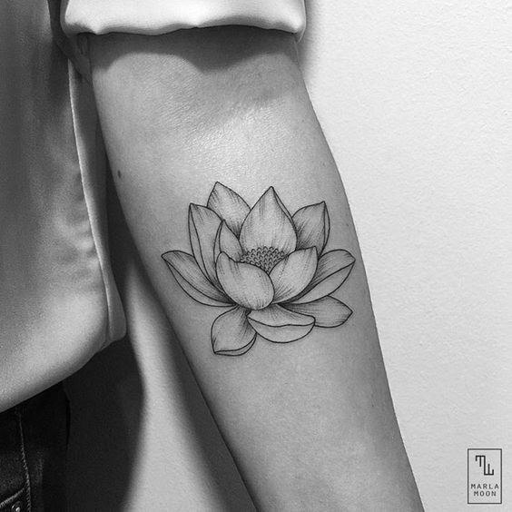 Flor De Loto Tatuada Mujeres (7)