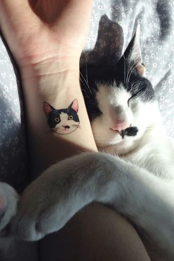 Pequeños Tatuajes De Gatos (5)