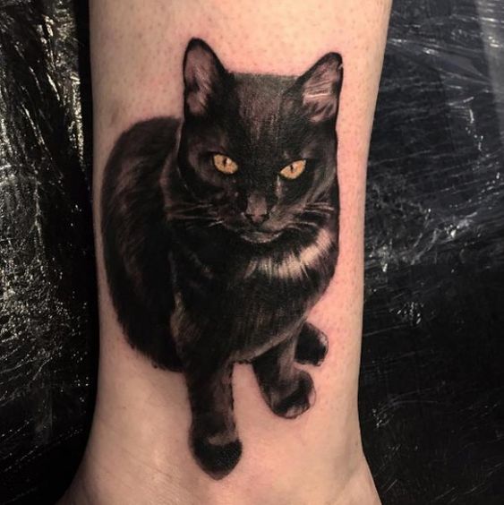 Tatuajes De Gatos 【 Diseños Y Significados De Este