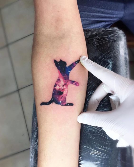 Tatouages De Chats Dessins Et Significations De Ce Felin