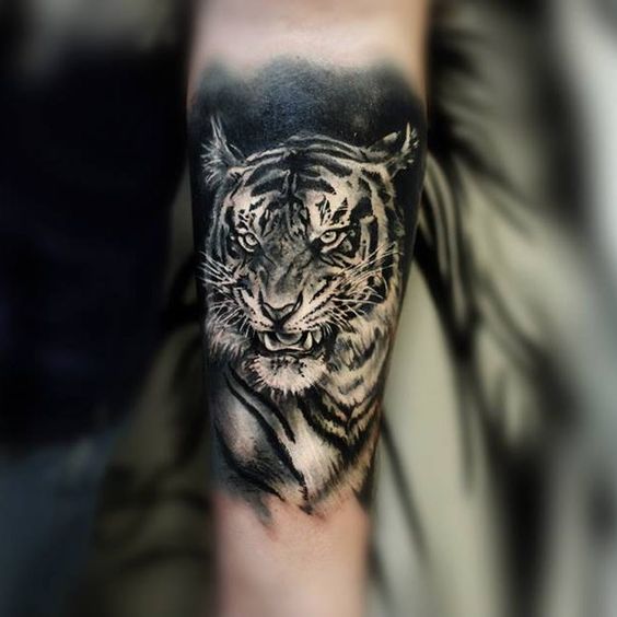 Tatouage Tigre Bras (3)