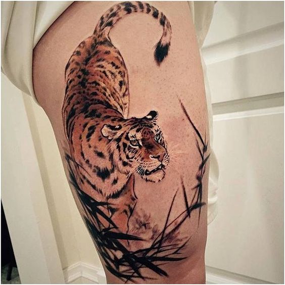 Tatouage Tigre Homme (6)